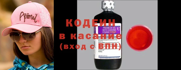 таблы Бородино