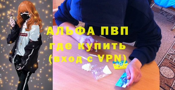 таблы Бородино