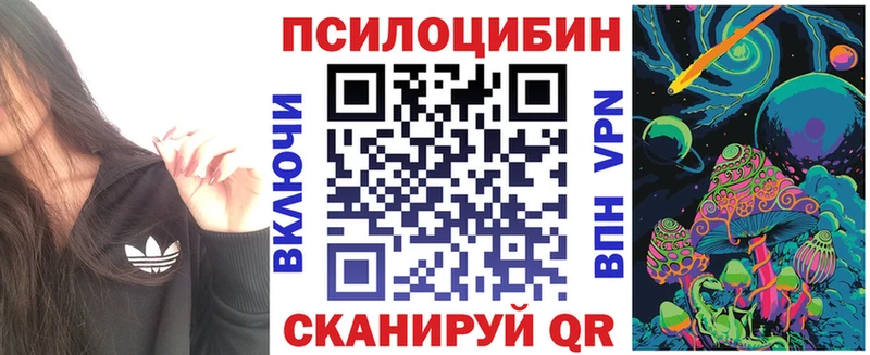 blacksprut рабочий сайт Вельск Галлюциногенные грибы MAGIC MUSHROOMS купить закладку